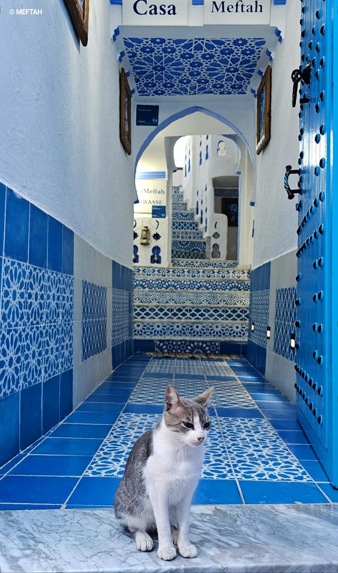 Casa Meftah Blue *